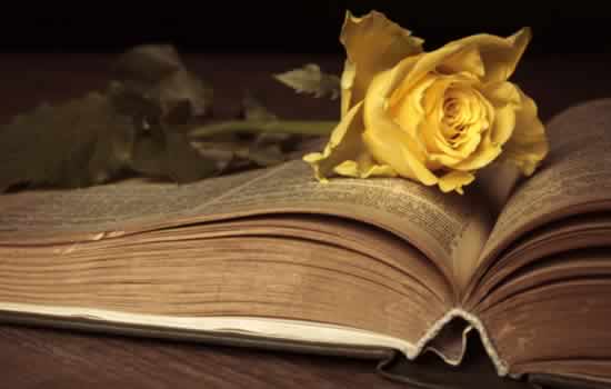 Rosa per decorazione lapide